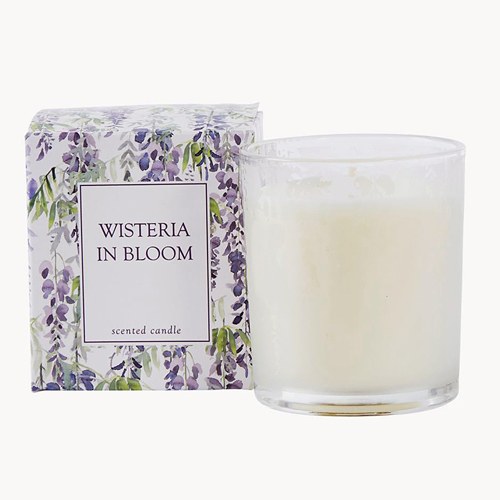 Wisteria in bloom candle