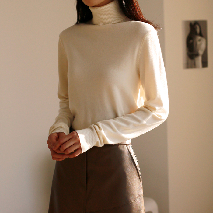 Land Knit Turtleneck